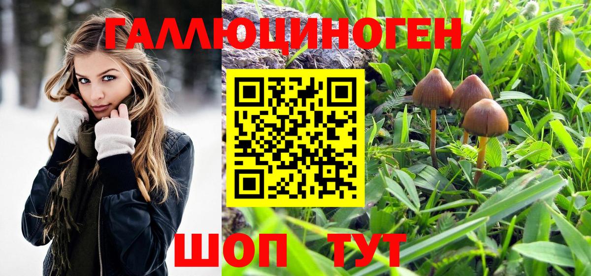 Кузнецк  Галлюциногенные грибы мицелий  Вход с VPN 