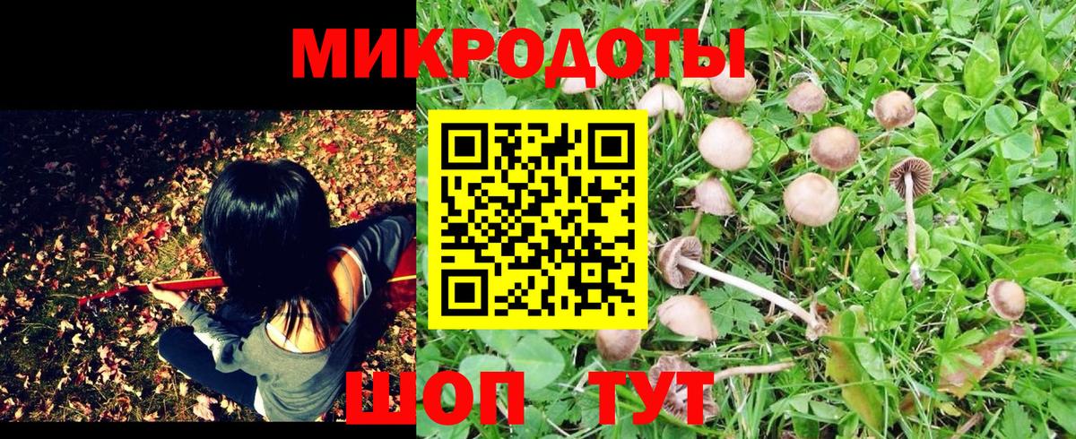Галлюциногенные грибы мухоморы Кузнецк
